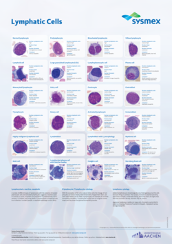 SYSMEX_LymphatischeZellen_PosterA1_EN