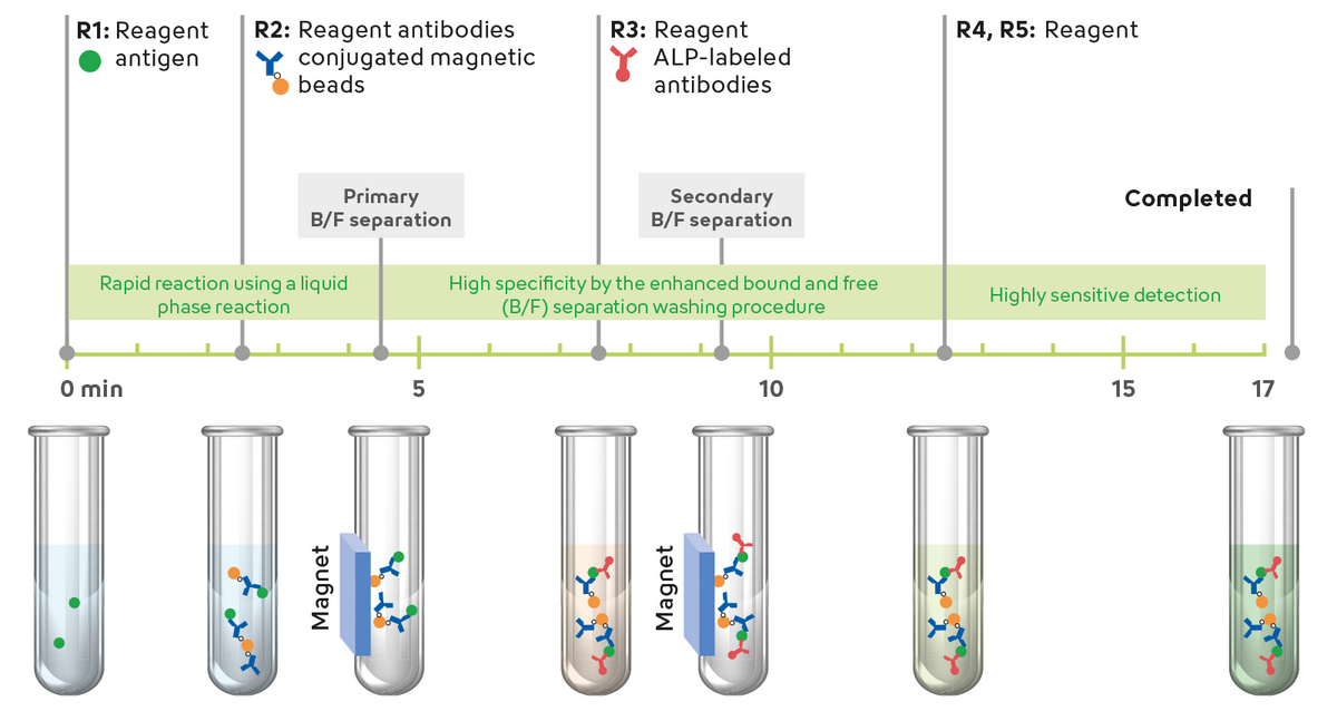 Fig. Procedure of the Sysmex Automated Immunoassay System (HISCL) 
