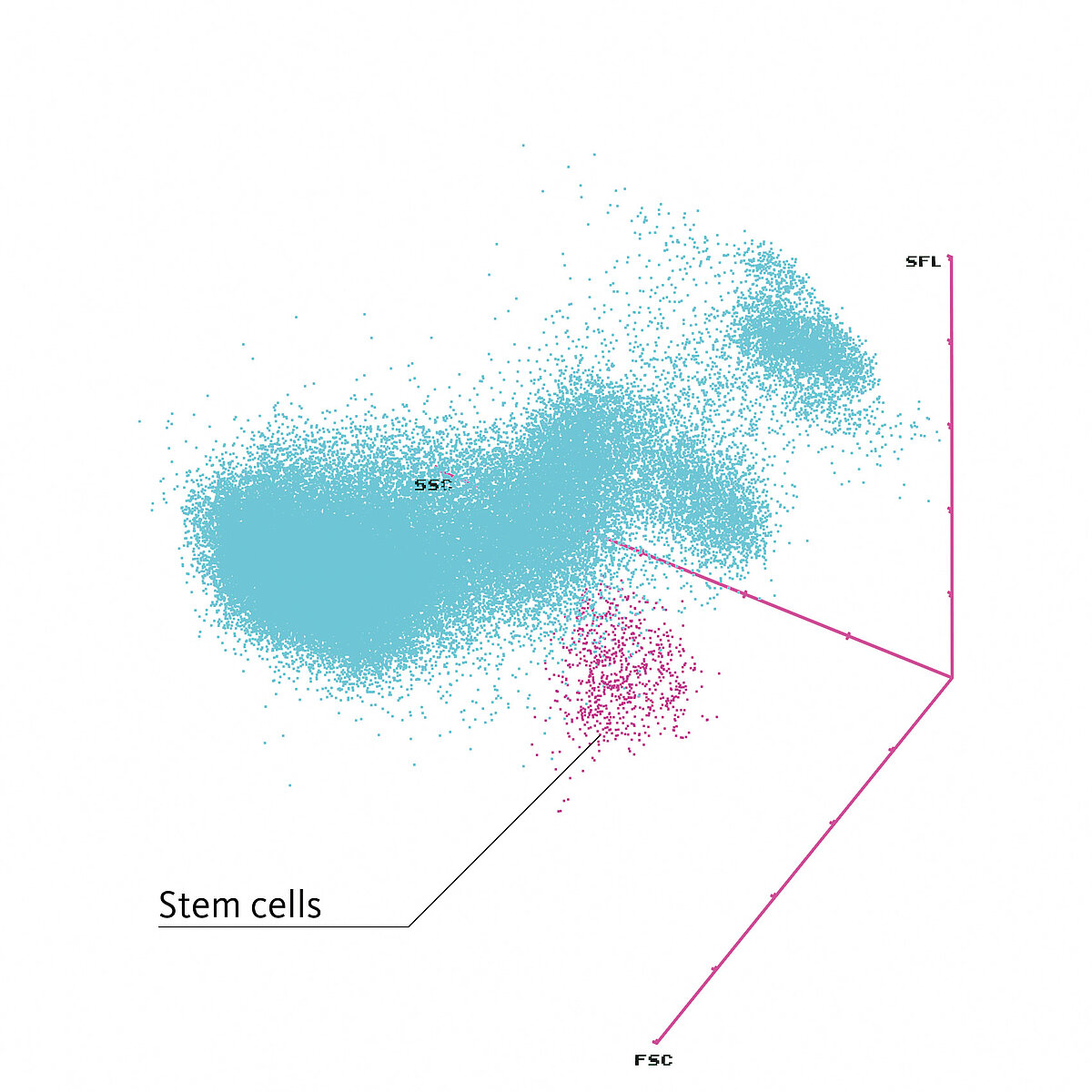 XN Stem Cells cluster (purple) in the 3D model of the WPC channel