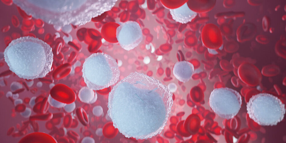 Smartly linked haemato-oncology