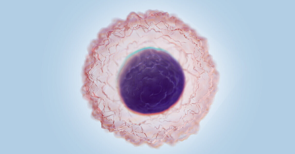 Red Blood Cells (NRBC) - Sysmex parameters