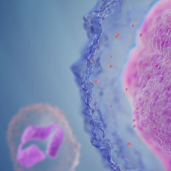 Sysmex Parameter