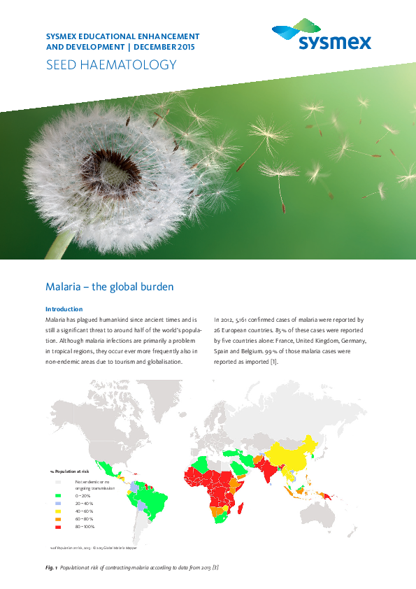 SEED Malaria – the global burden