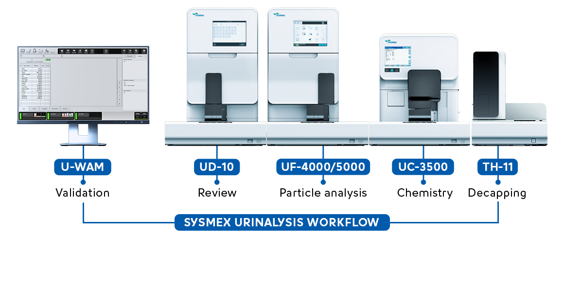 Sysmex urinalysis workflow (fully automated)
