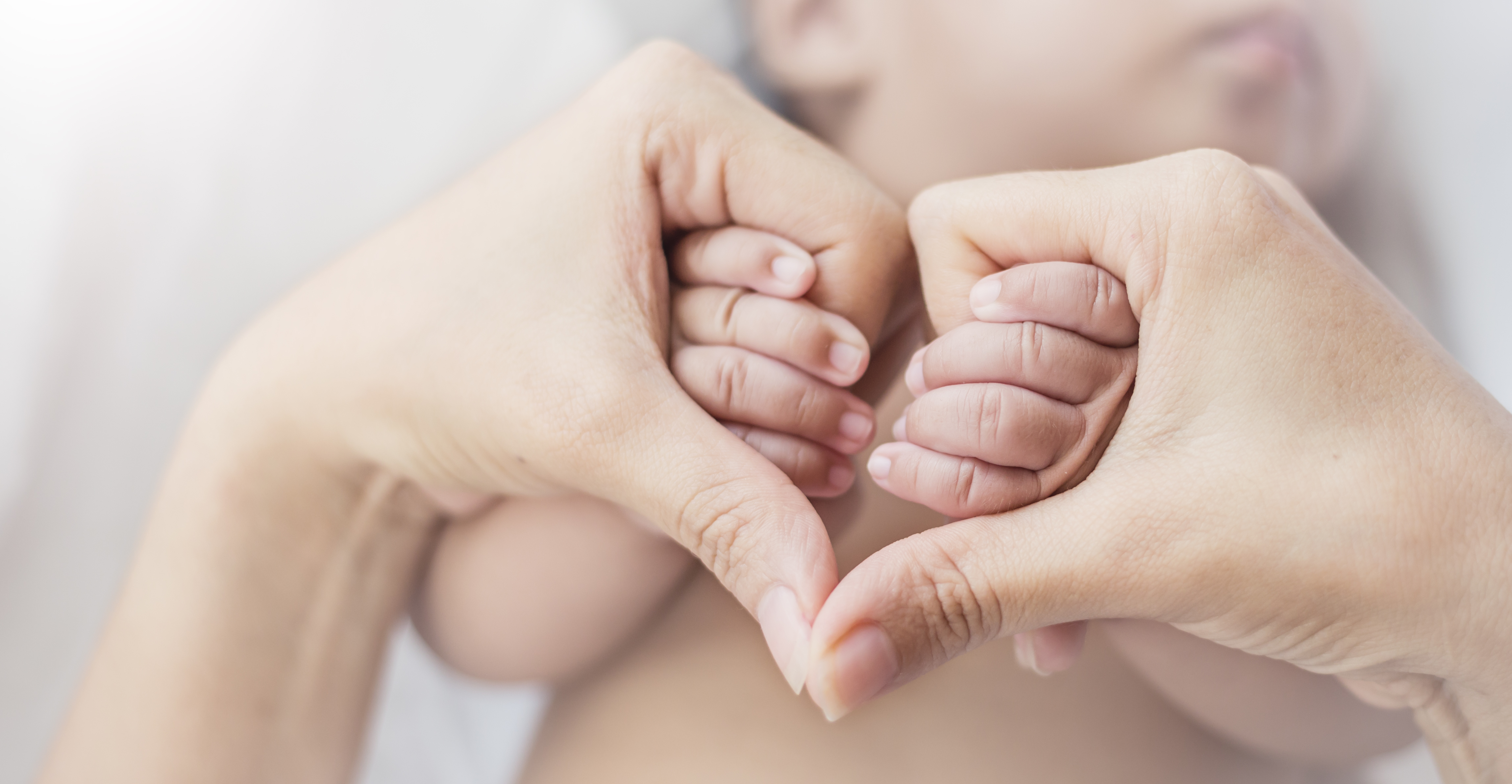 Asian,Newborn,Baby,Holding,Mother,Hands,In,Heart,Shape,,Closeup Alt Text